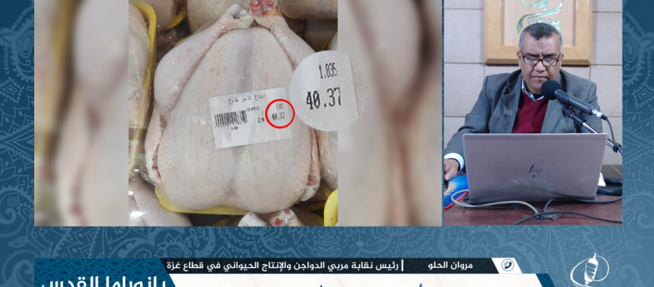 ارتفاع أسعار الدواجن في شهر رمضان