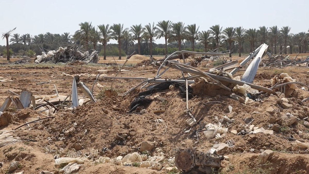 أكثر من 86% من الأراضي الزراعية في القطاع تعرضت لأضرار متفاوتة خلال الحرب الأخيرة،