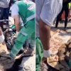 تقرير إخباري   مخيم #جباليا شاهد على سادية جنود الاحتلال.